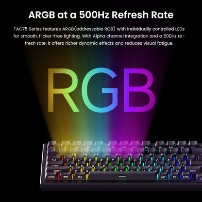 AKKO TAC75 HE Magnetic Switch Keyboard 75% Gaming Keyboards Rapid Trigger 0.005mm 8K RGB Wired Esports Custom Keyboard for Gamer