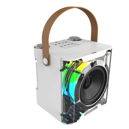 High Power Karaoke Machine, Mini Bluetooth Speaker and Microphone Set, RGB Lighting Effects, Stereo Subwoofer, with Phone Holder
