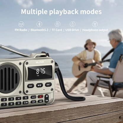 MLOVE BV800P Portable Bluetooth Speaker with FM Radio, MP3 Player, USB/TF Card, AUX & Antenna – All-in-One Audio for On-the-Go