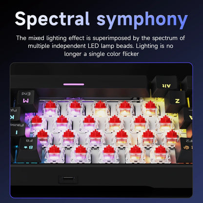 AJAZZ NK61 Wired Gaming Mechanical Keyboard 60% RGB Hot-Swappable 61 Keys Red Switch Mini Keyboard for Gamer PC